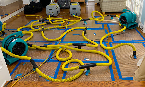 Professional Water Extraction technician working in Mason, OH